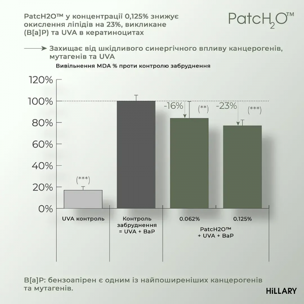 Набор косметических средств для ухода за кожей тела Hillary