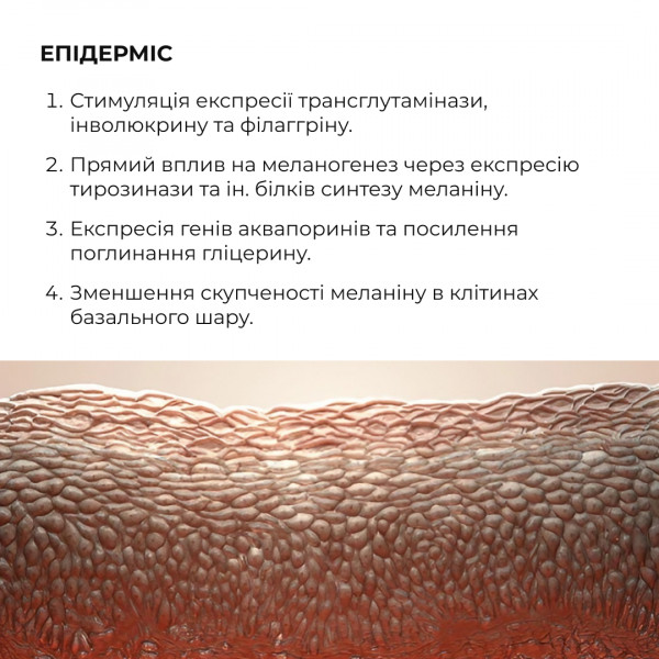 Комплекс глубокого ночного обновления кожи ReNuAge Retinol Collagen Night Ritual