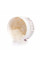 Скраб для тела парфюмированный Hillary Perfumed Oil Scrub Flowers, 200 г