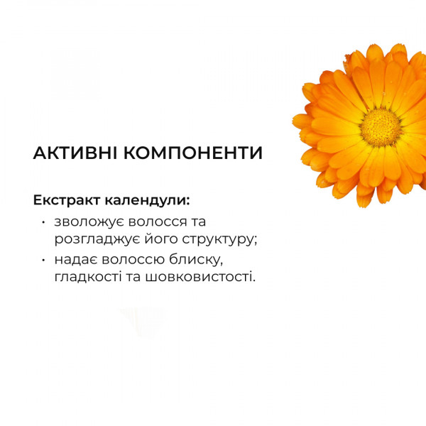 Шампунь против выпадения волос Hillary Serenoa РР Hair Loss Control Shampoo, 500 мл