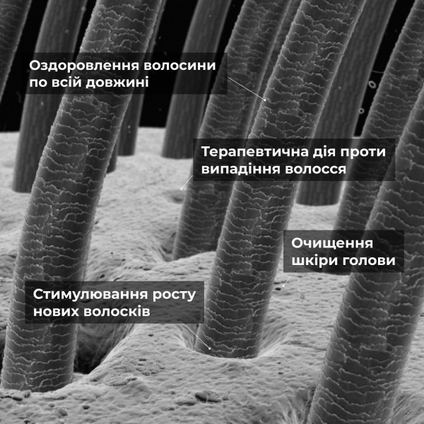 Шампунь против выпадения волос Hillary Serenoa РР Hair Loss Control Shampoo, 500 мл