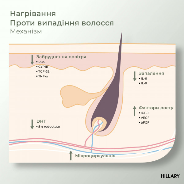 Комплекс HBS Обновление Hillary Hair Body Skin Renewal