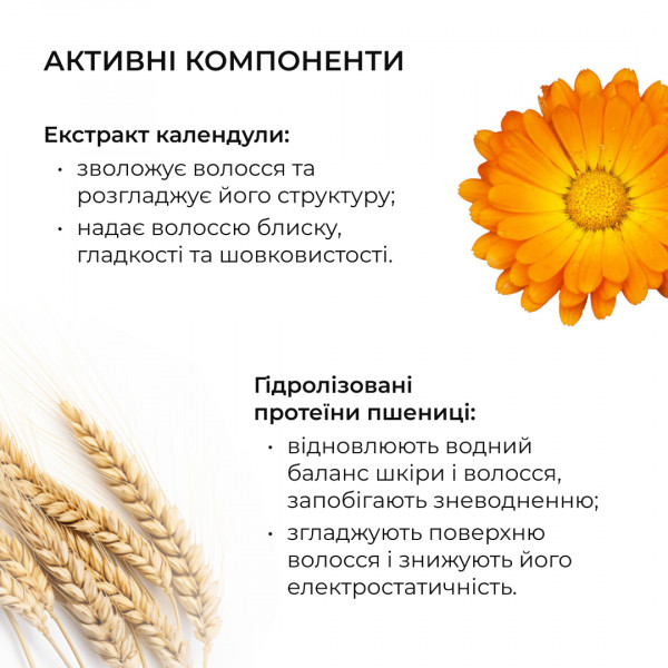 Высококонцентрированный комплекс для волос с экстрактом карликовой пальмы Hillary CONСENTRATE SERENOA, 50 мл