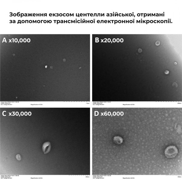 Крем-гель для підтримки мікробіому шкіри Hillary PDRN Cica Exosome Peptide Therapy Gel, 15 мл