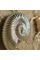 Лимитированная круизная коллекция Hillary Golden Sun Cruise Edition
