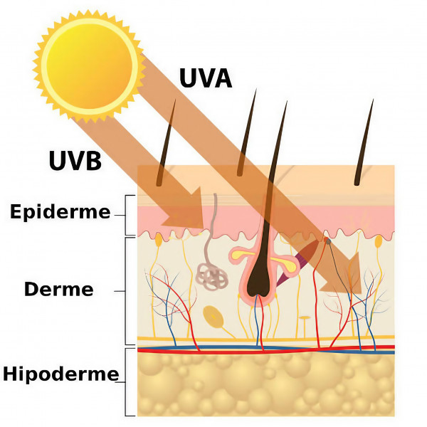 Солнцезащитный крем SPF 30+ Hillary VitaSun Daily Protect Cream, 40 мл