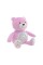 Мягкий ночник мишка Pink Chicco IR28610