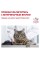 Диета Royal Canin Gastrointestinal Fibre Response для кошек страдающиx запорами 4 кг (3182550771344)