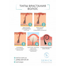 Информационный плакат , формат А3  
