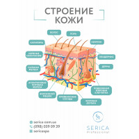 Інформаційний плакат, формат А3 