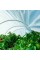 Парник для розсади з агроволокна Агро-Лідер 50 г/м² 12 м