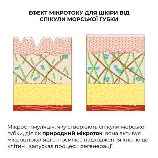 Комплекс базового ухода для обновления и защиты кожи Hillary Basic Care Skin Renewal Protection Set